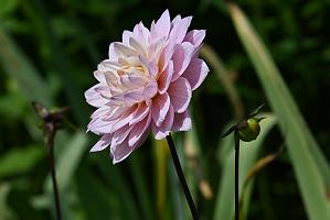 2025-06138980 Tower Hill Botanic Garden, MA